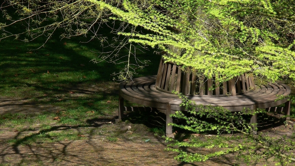 Bois des Moutiers (172) Mai 2012